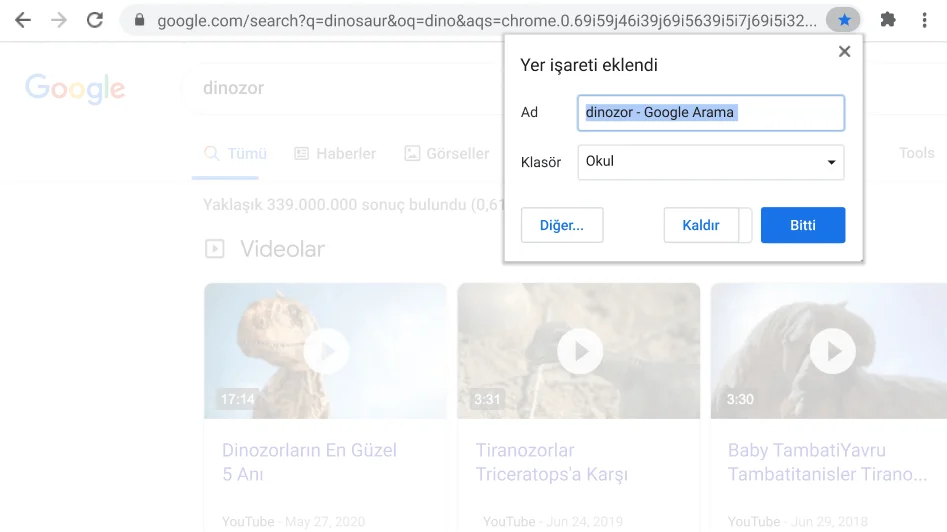 Görünür Yer işareti iletişim kutusuyla Chrome tarayıcı penceresi.